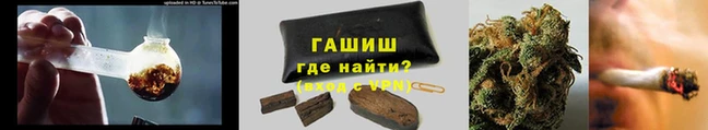 a pvp Алзамай