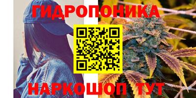 apvp Ливны