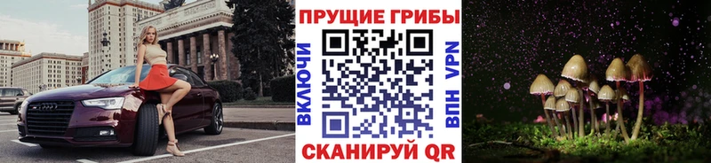 Галлюциногенные грибы мицелий Добрянка