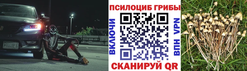 гидра зеркало  Добрянка  Псилоцибиновые грибы GOLDEN TEACHER 