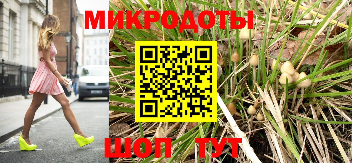 Галлюциногенные грибы Cubensis Добрянка